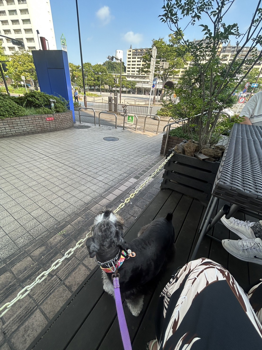 本郷台駅前で愛犬とモーニング(*^-^*)